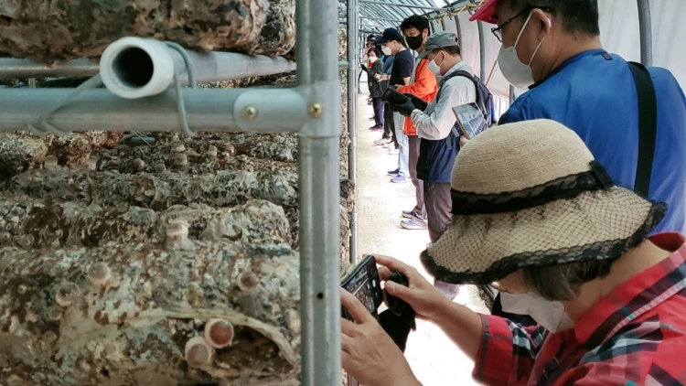 시골살이 체험 - 농장 견학 / 영동군