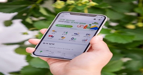 그린랩스(팜모닝서비스) / 농촌진흥청