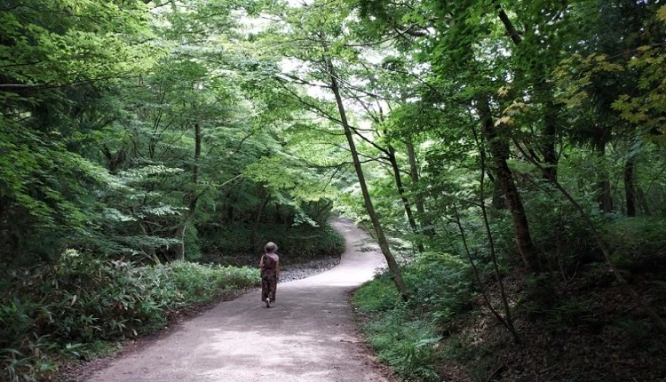 정읍사공원 레포츠숲길 / 정읍시