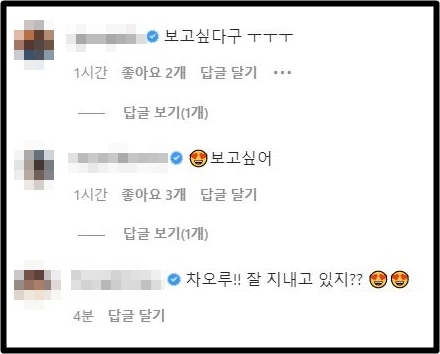 차오루 인스타그램 댓글창 캡처