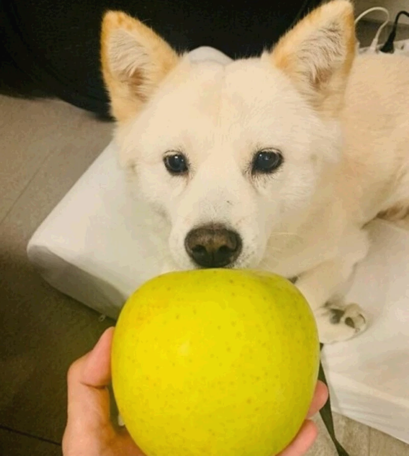 현재는 삭제된 사진 / 윤석열 대통령 당선인 인스타그램
