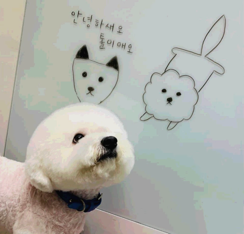 이하 윤석열 대통령 당선인 트위터