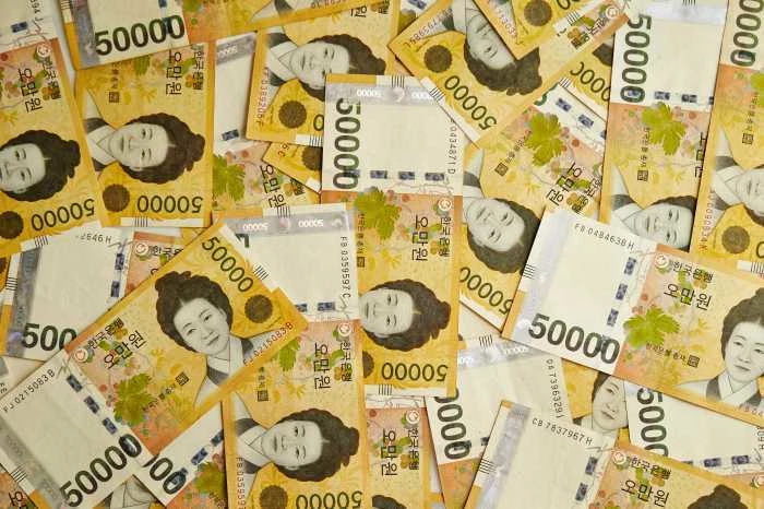 기사와 관련 없는 자료사진 / mnimage-Shutterstock.com