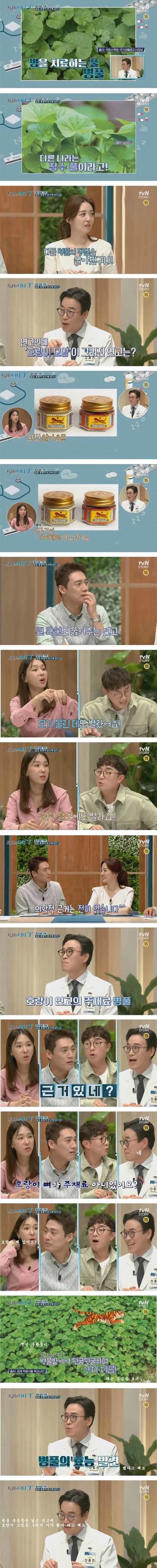 tvN 스토리 ‘프리한닥터T’