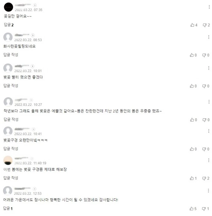 여의도 벚꽃길 제한적 개방 소식에 네티즌 반응 / 네이버