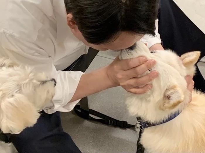 이하 윤석열 대통령 당선인 트위터