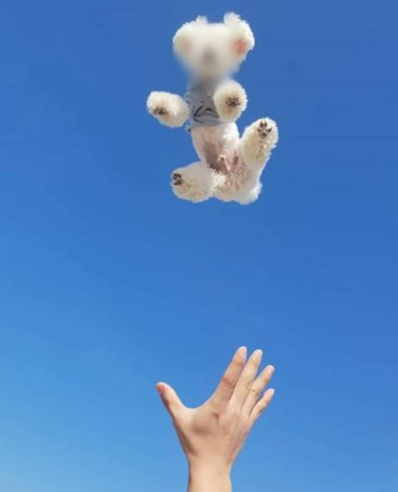 이하 인스티즈