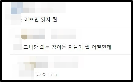 에펨코리아 댓글창 캡처