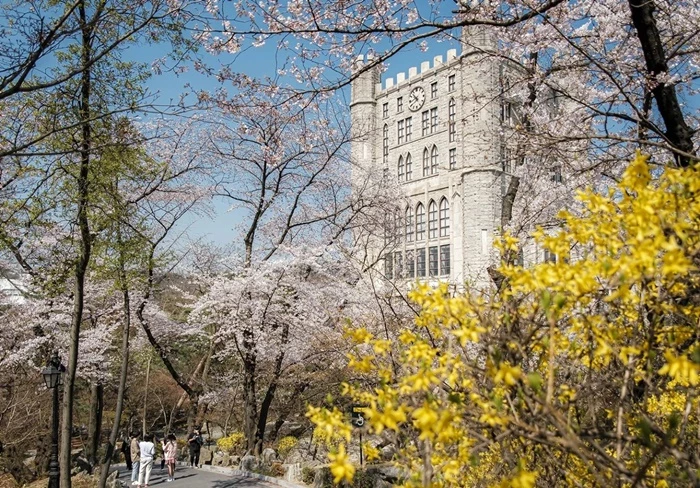 경희대학교 인스타그램