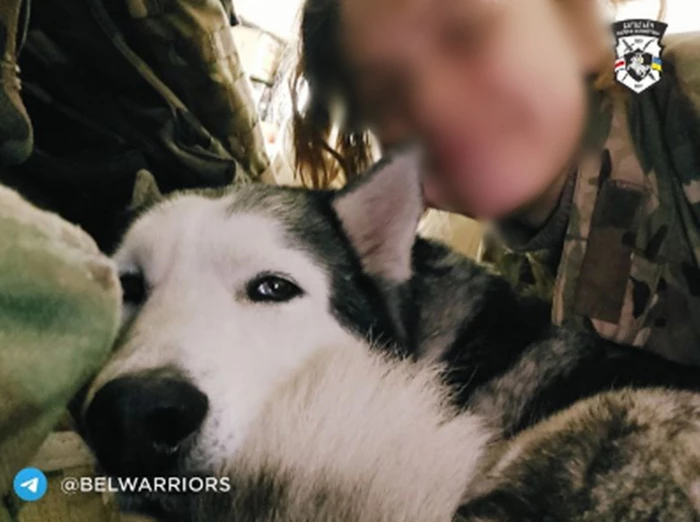 이하 카르투스 칼리노스키 대대 페이스북