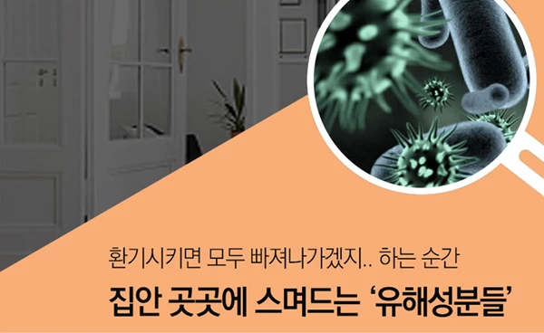 이하 호갈