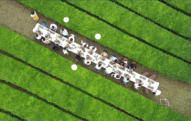 차밭 다이닝체험