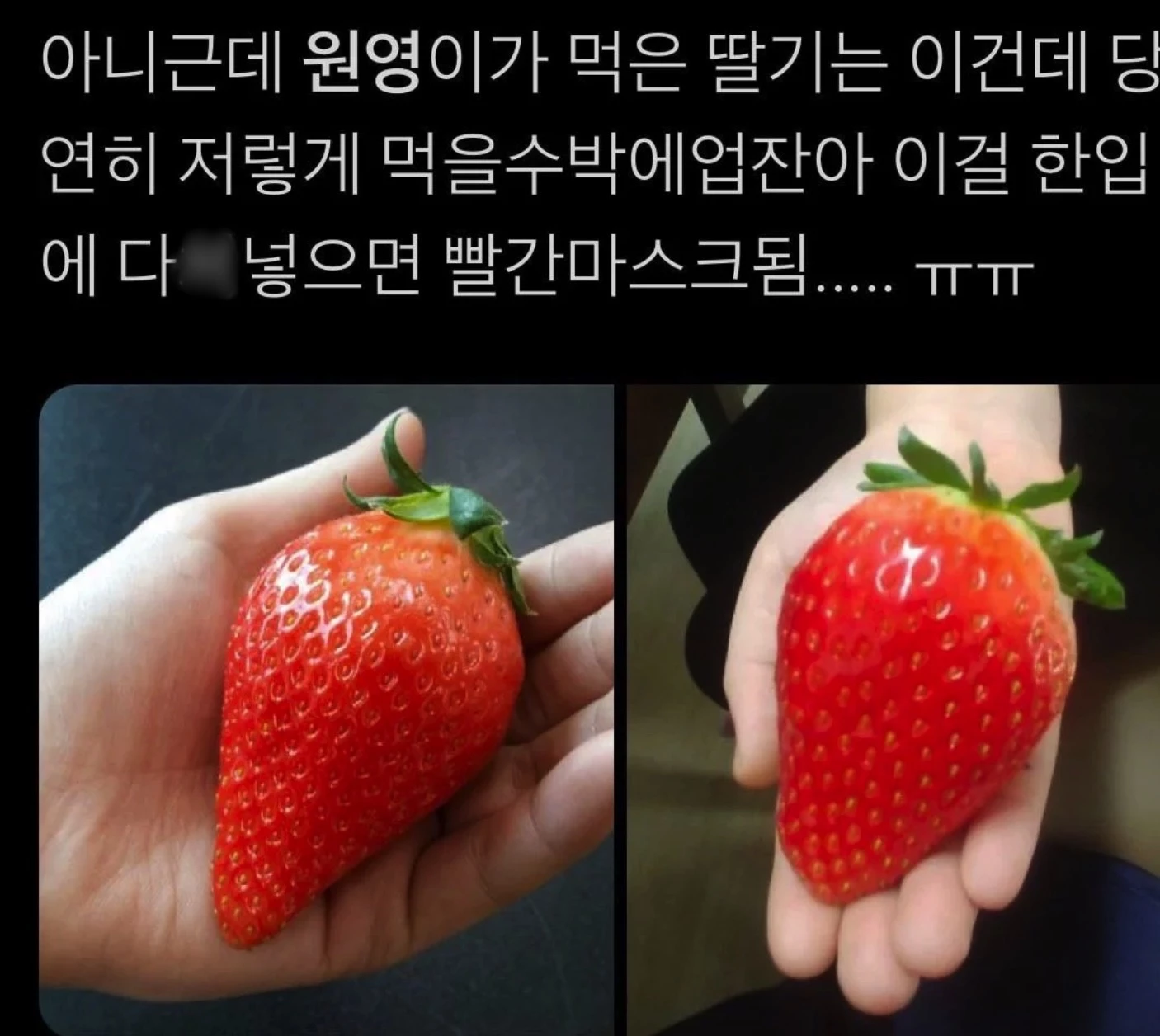 이하 더쿠
