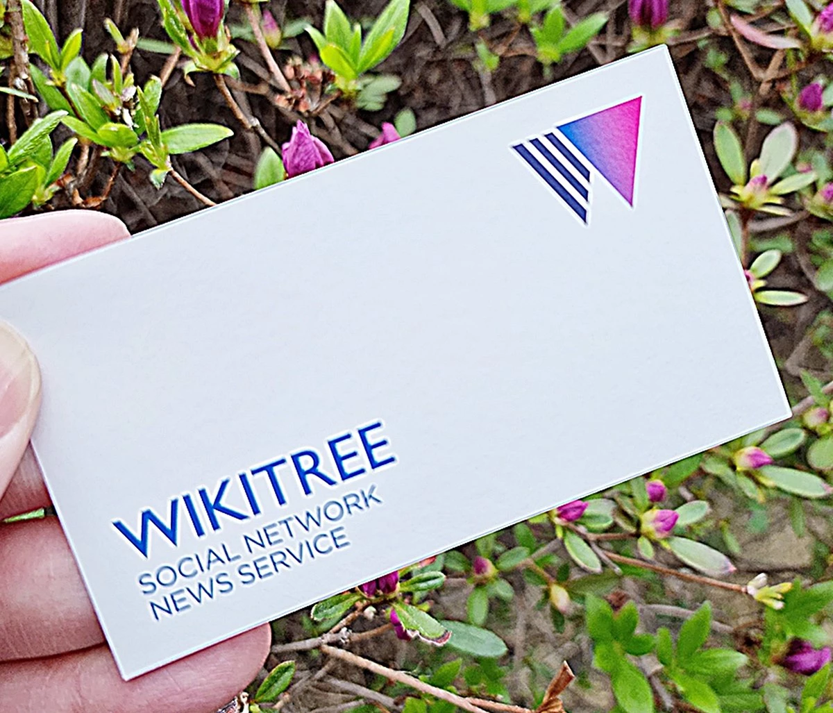 위키트리 자료 사진 / 이하 위키트리