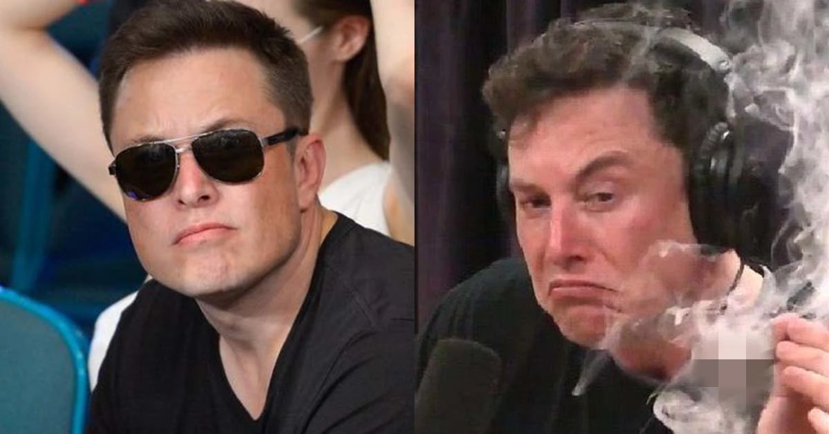 일론 머스크 테슬라 CEO(최고경영자) / 사진=머스크 트위터