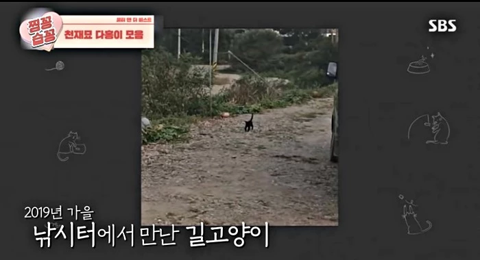 다홍이 / 이하 SBS '뷰티 앤 더 비스트'