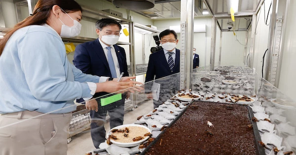 유용곤충연구소 / 농촌진흥청