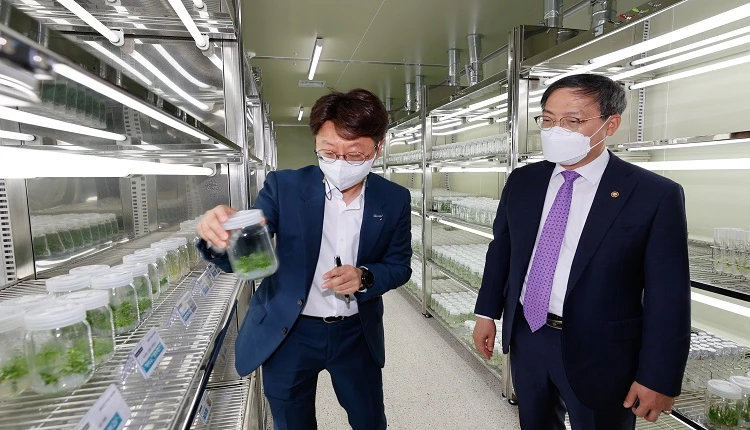 한국농업기술진흥원 종묘생산시설 / 농촌진흥청