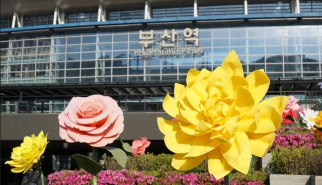다시 돌아온 일상에 대한 반가운 마음을 대변하듯 커다란 꽃송이가 부산역 광장에 한 아름 피어났다. / 사진제공=부산시설공단