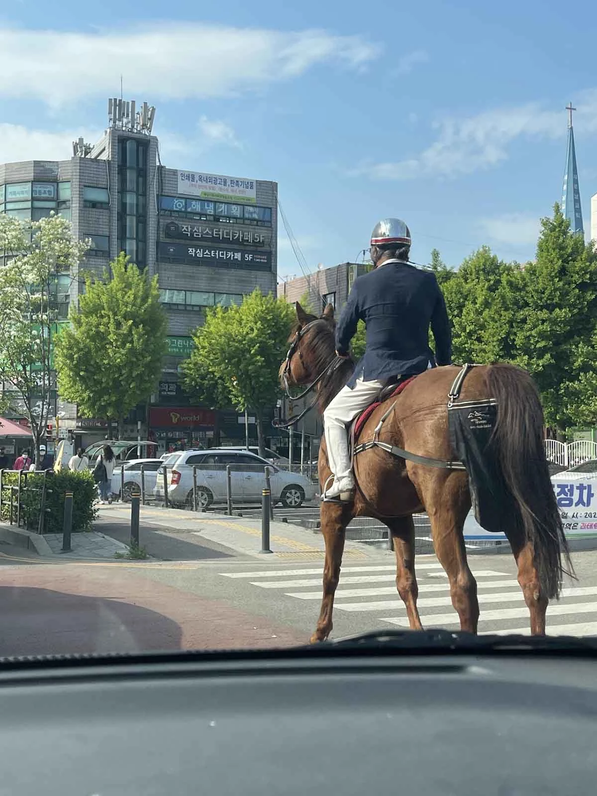말을 타고 경기 부천시 도로를 달리는 사람. / 사진=인터넷 커뮤니티 포모스