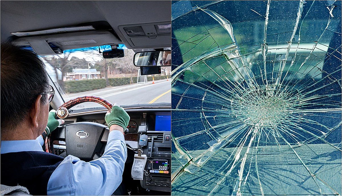 기사의 이해를 돕기 위한 사진 / Luke W. Choi,     Bencemor-shutterstock.com