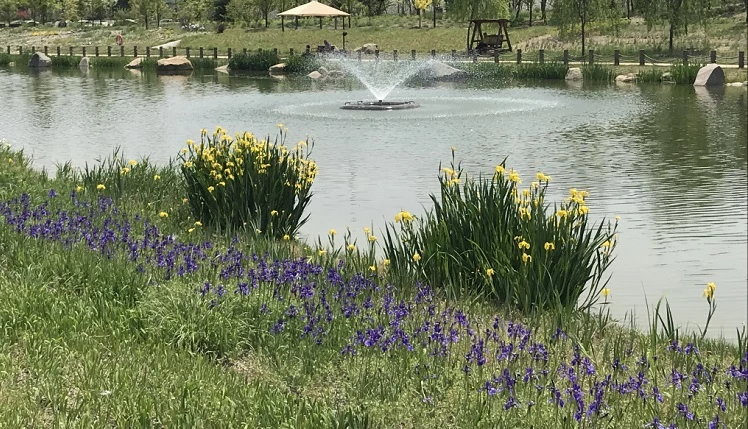 세종수목원 청류지원 / 자료사진