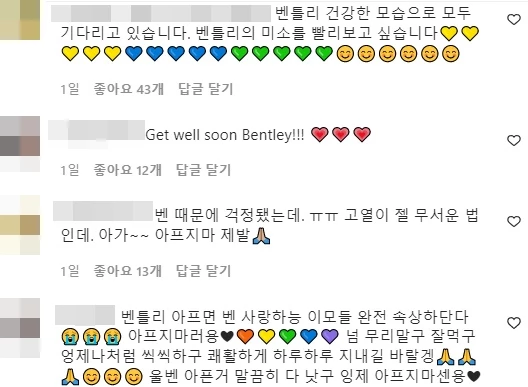 정유미 씨 인스타그램 댓글창