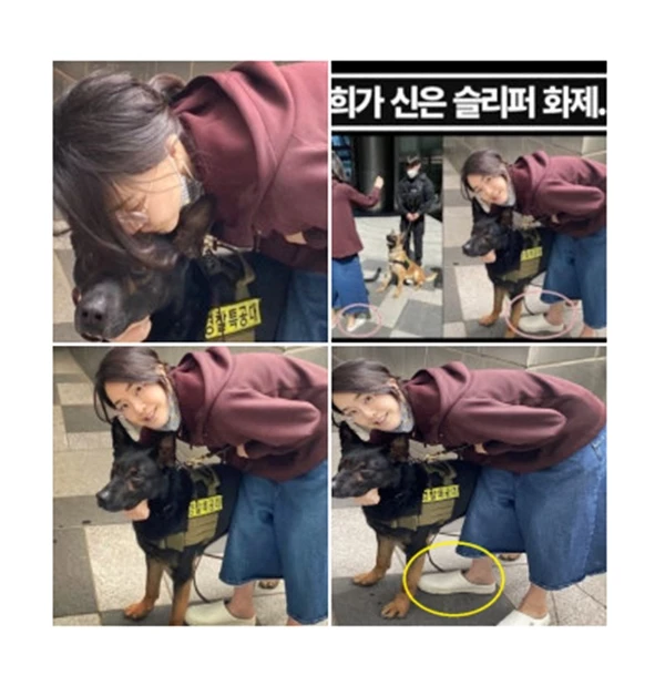 무단 사용된 김건희 여사 사진 /네이버 쇼핑