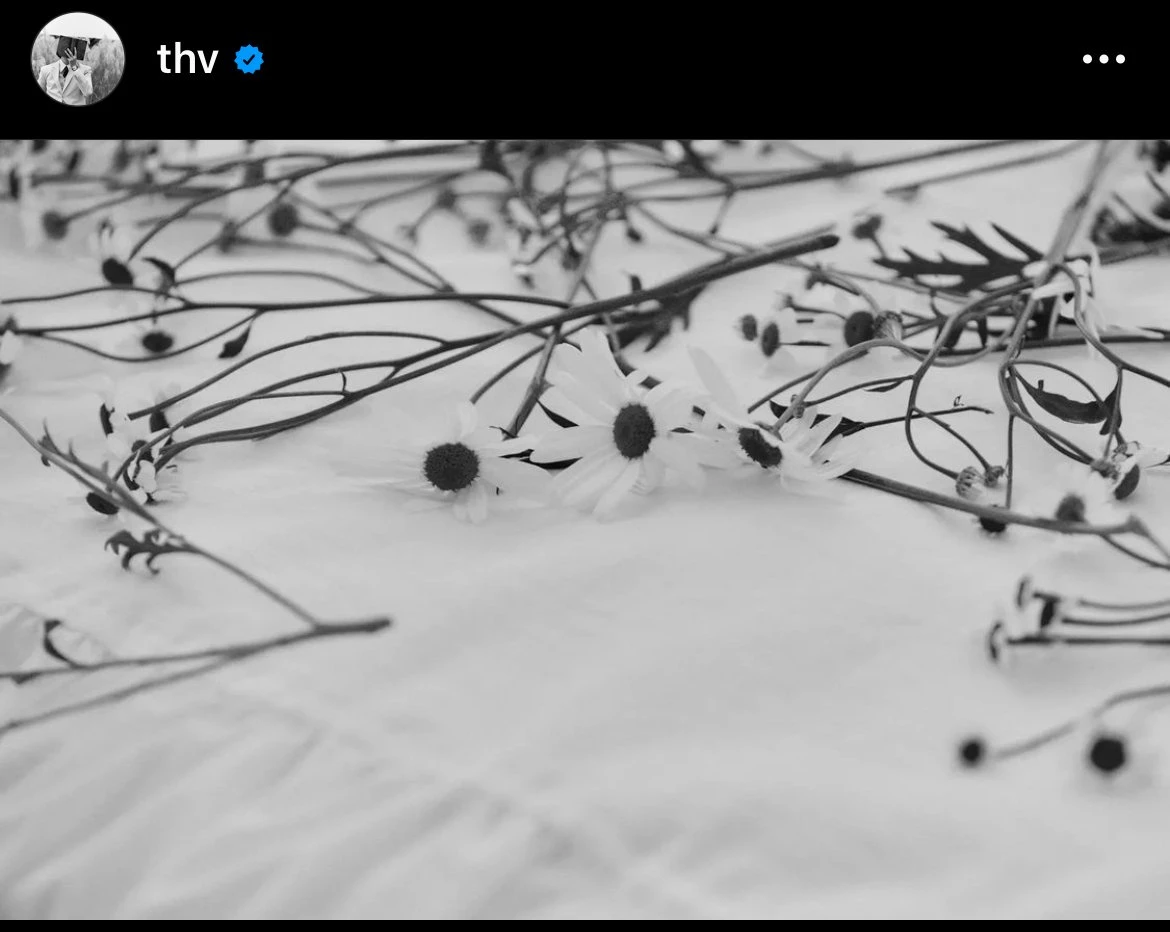 방탄소년단 뷔가 지난 2일 인스타그램에 올린 데이지 사진.