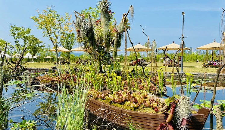 수생식물 특별전 / 세종수목원