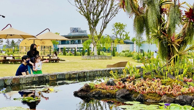 식충식물 관찰 / 세종수목원