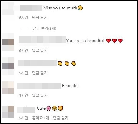한효주 인스타그램 댓글창 캡처