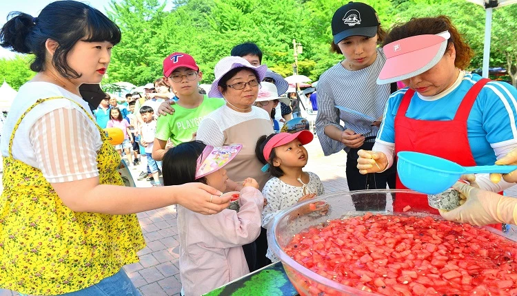 복분자 수박축제 / 고창군