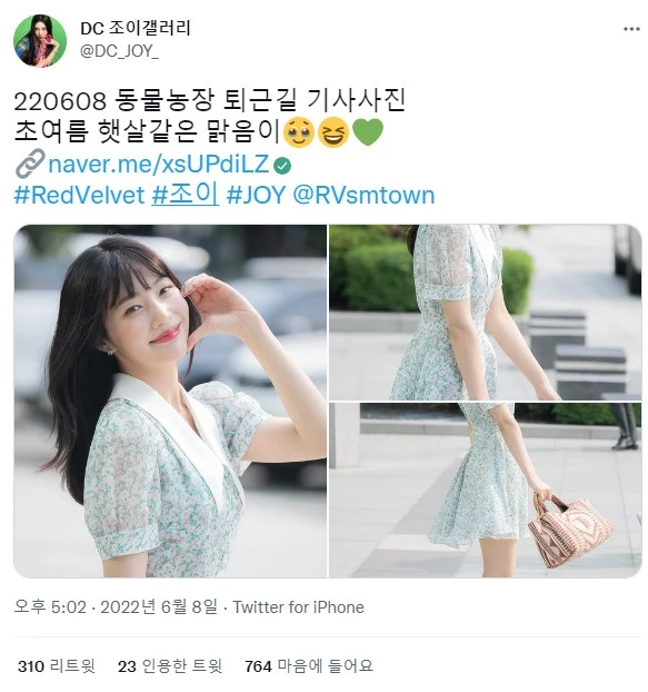 트위터 계정 'DC 조이갤러리'에 올라온 게시물 / 트위터