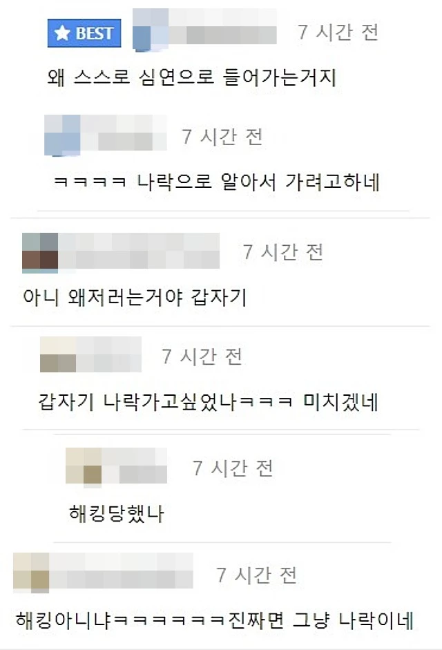 에펨코리아 댓글 창