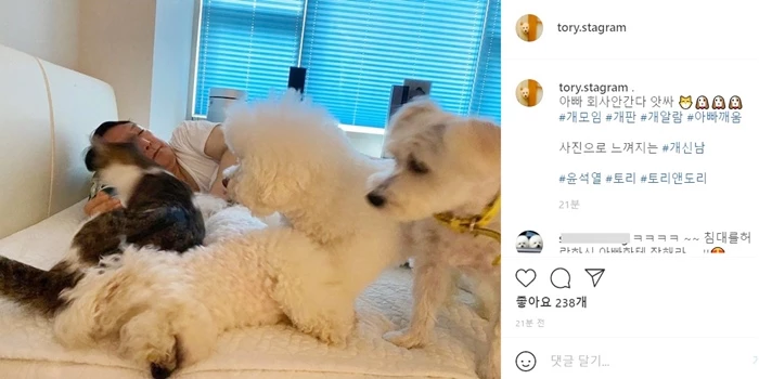 윤 대통령의 반려동물들
