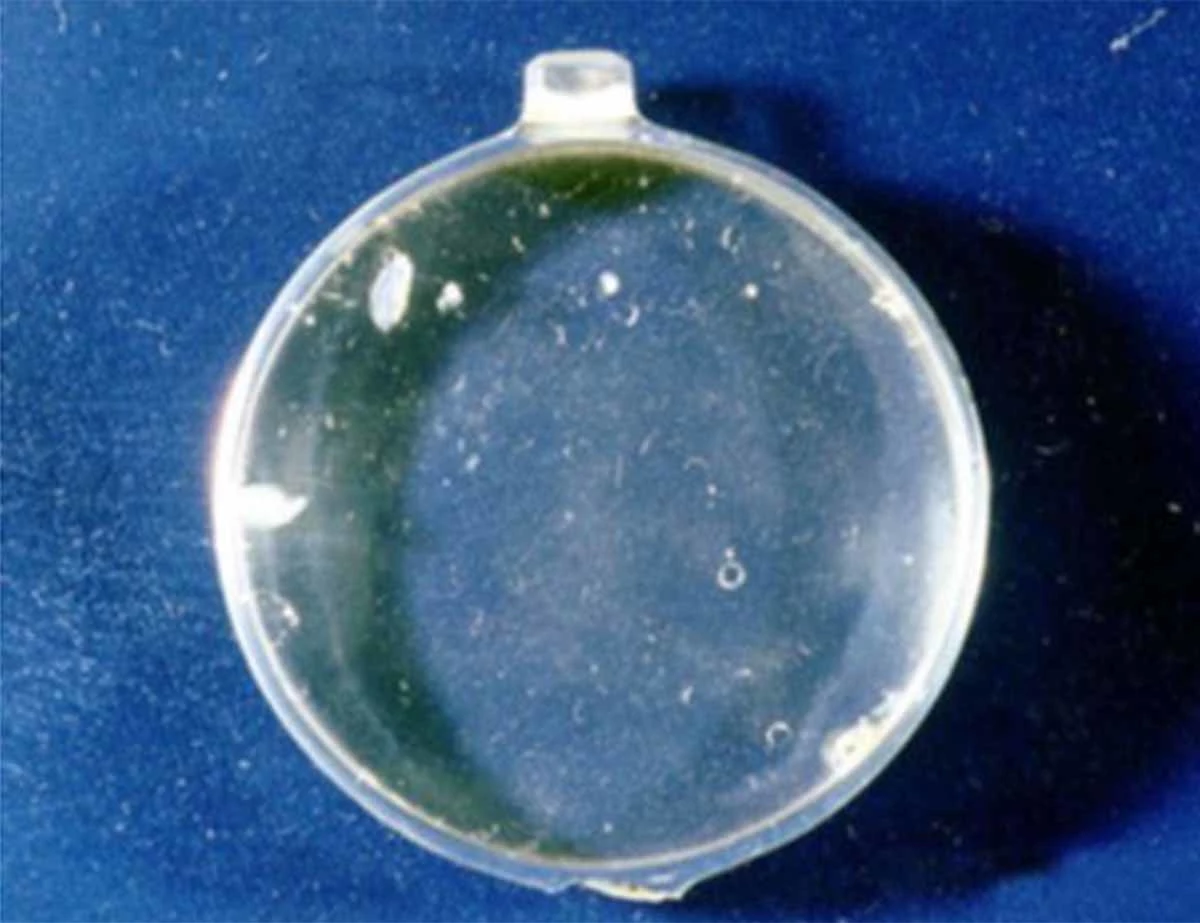 신라시대의 볼록렌즈인 수정화주 / 한국콘텐츠진흥원