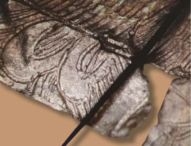 선각단화쌍조문금박과 머리카락 굵기 비교 모습 / 국립경주문화재연구소 제공