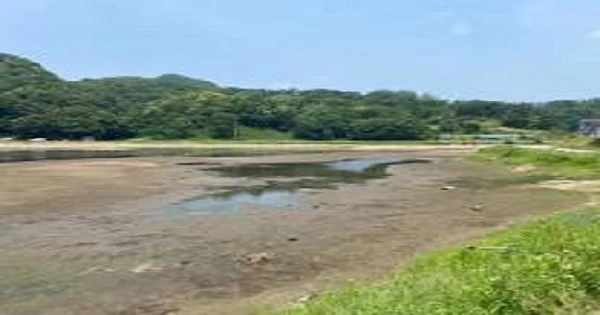 가뭄에 바닥을 드러내고 있는 유신저수지 모습.