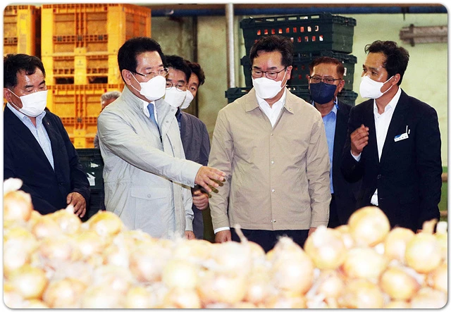 김영록 전라남도지사는 23일 정황근 농림축산식품부 장관과 함께 무안 현경면 전남서남부채소농협에서 6월 들어 가격이 상승한 중만생종 양파의 출하 동향을 점검했다.  / 전남도