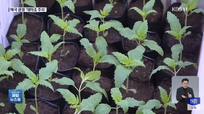 이하 유튜브 'KBS News'