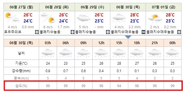 평균 습도 98%로 예보된 오는 30일 부산 날씨