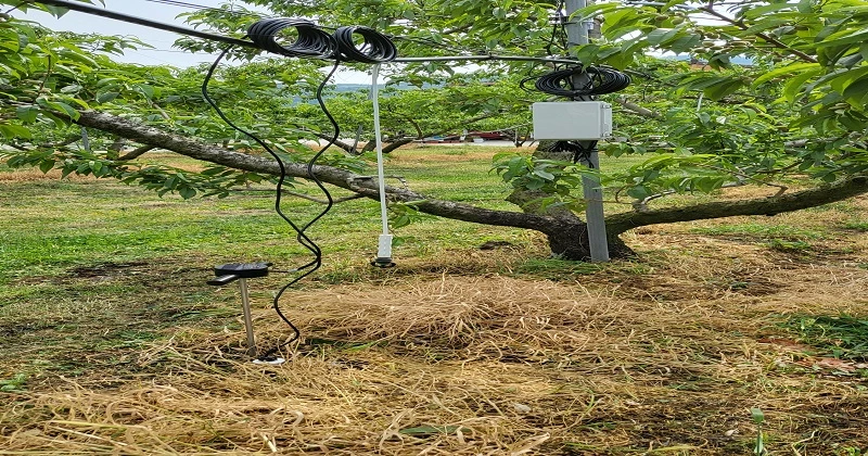 충북 음성군은 가뭄 발생 빈도가 높아지고 있는 기상 상황에 대응해 작물 재배에 최적화된 물 관리 시스템인 ‘스마트 관개시스템’을 과수 농가 2곳에 보급했다.