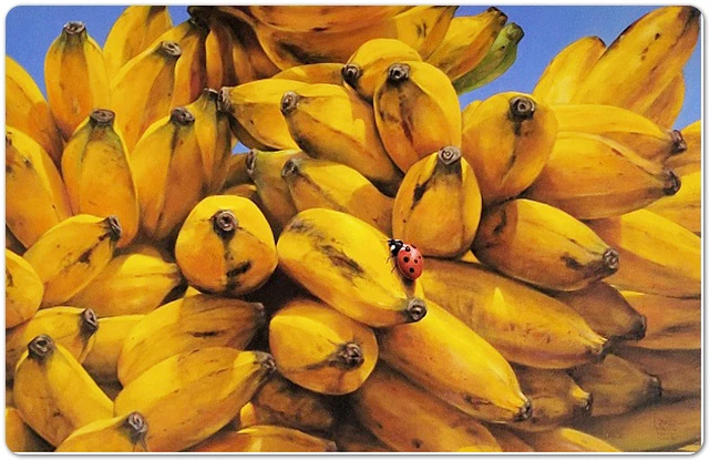 바나나 Oil on canbas