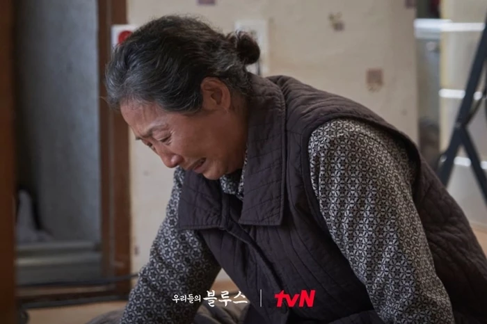 tvN 드라마 공식 인스타그램