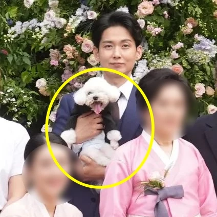 결혼식에 참석한 반려견 꿍이