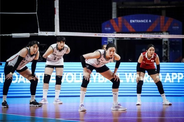 VNL 공식 홈페이지