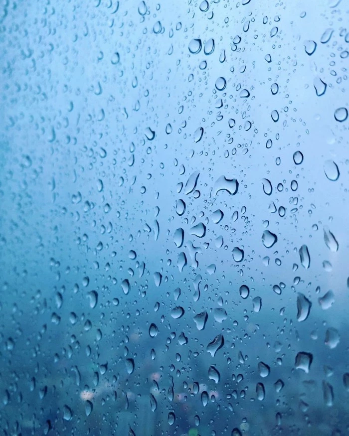 장영란이 30일 유산 소식 전하며 올린 사진