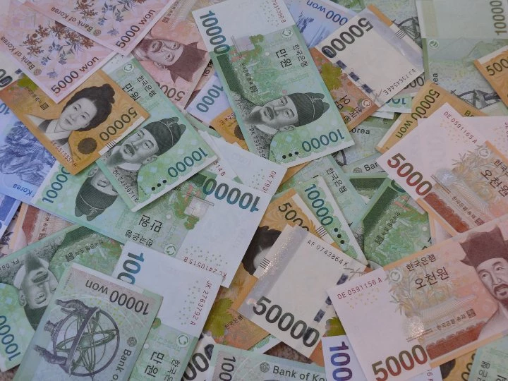 기사와 직접적인 관련 없는 사진. / Mark Richley-Shutterstock.com