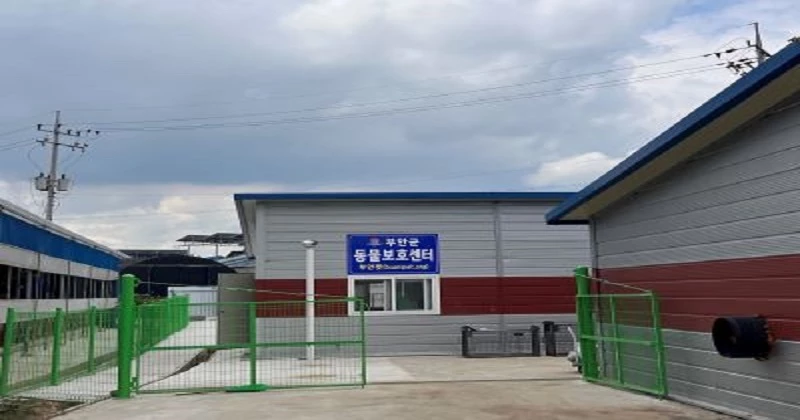 부안군